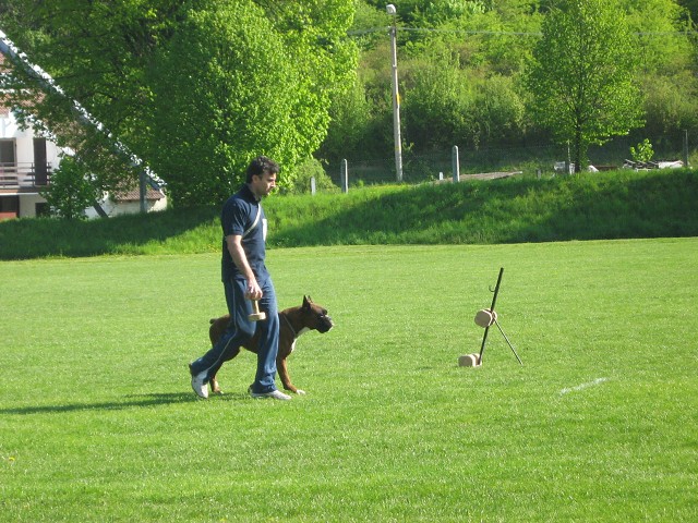 www.atibox.net * www.euroboxer.eu * www.boxergenealogia.eu